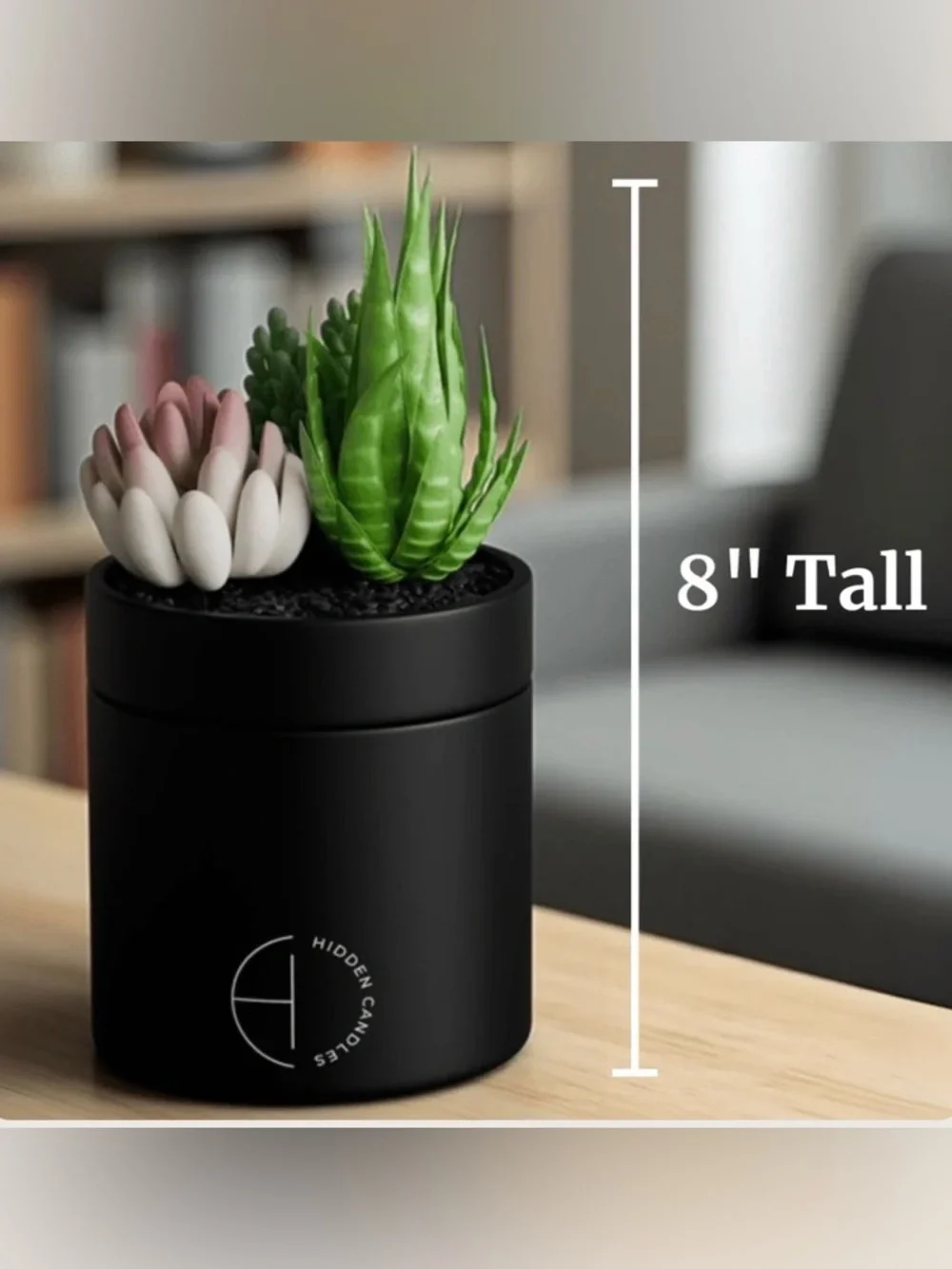 NEW Compact Storage Hidden Candle Beach Bungalow | Scented Candle Faux Succulent